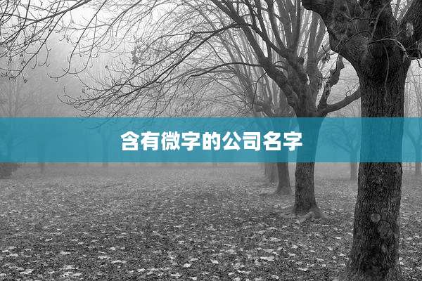 含有微字的公司名字