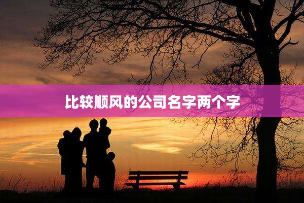 比较顺风的公司名字两个字