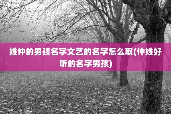 姓仲的男孩名字文艺的名字怎么取(仲姓好听的名字男孩)