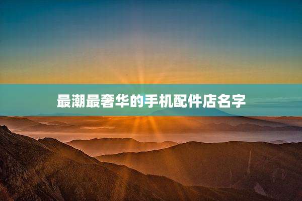 最潮最奢华的手机配件店名字