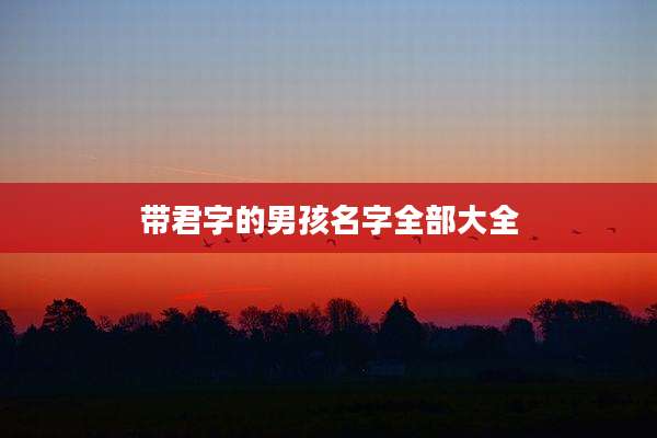带君字的男孩名字全部大全