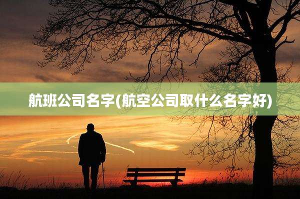 航班公司名字(航空公司取什么名字好)