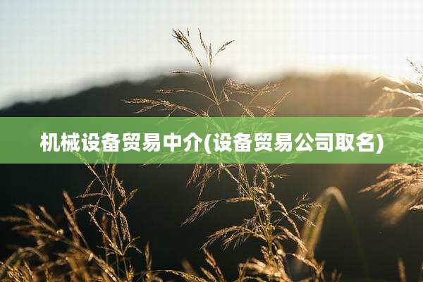 机械设备贸易中介(设备贸易公司取名)