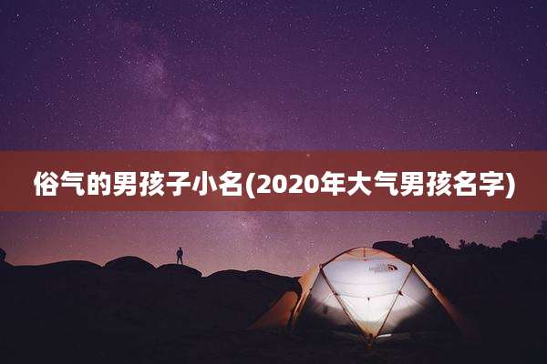 俗气的男孩子小名(2020年大气男孩名字)