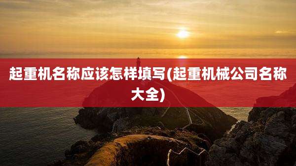 起重机名称应该怎样填写(起重机械公司名称大全)