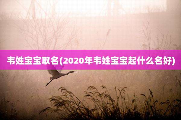 韦姓宝宝取名(2020年韦姓宝宝起什么名好)