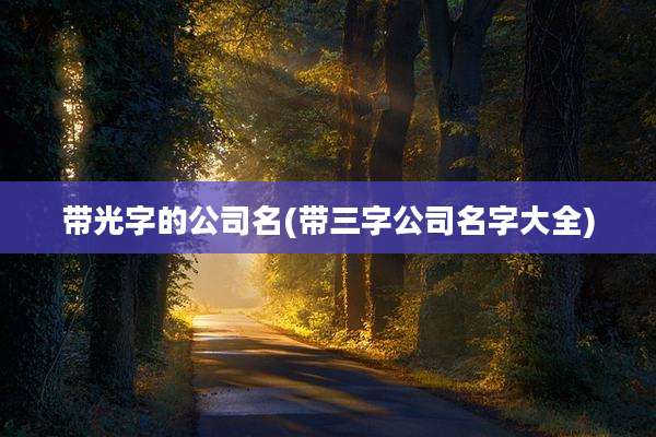 带光字的公司名(带三字公司名字大全)