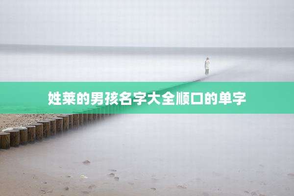 姓莱的男孩名字大全顺口的单字