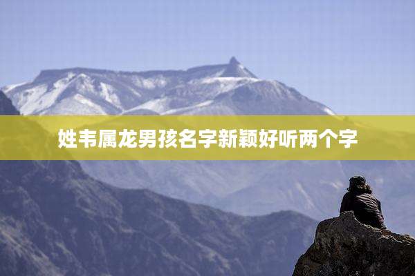 姓韦属龙男孩名字新颖好听两个字