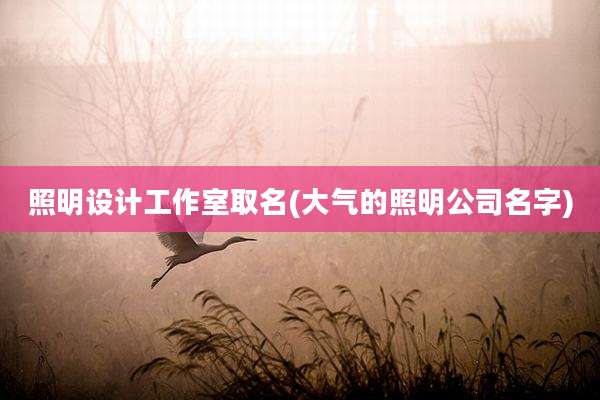 照明设计工作室取名(大气的照明公司名字)