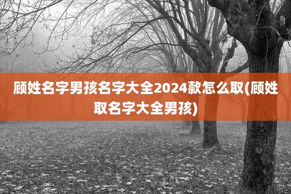 顾姓名字男孩名字大全2024款怎么取(顾姓取名字大全男孩)