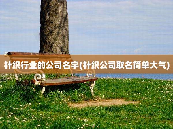 针织行业的公司名字(针织公司取名简单大气)