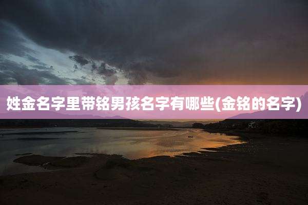 姓金名字里带铭男孩名字有哪些(金铭的名字)