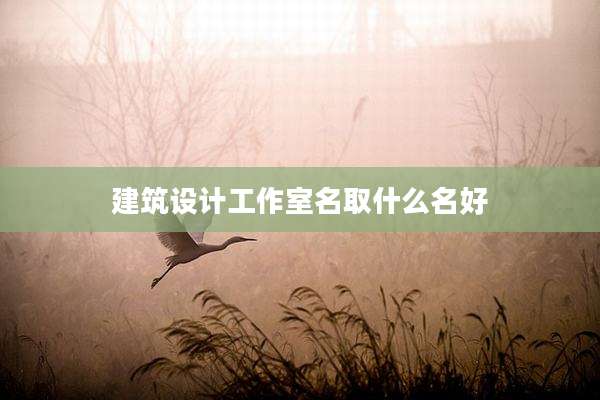 建筑设计工作室名取什么名好