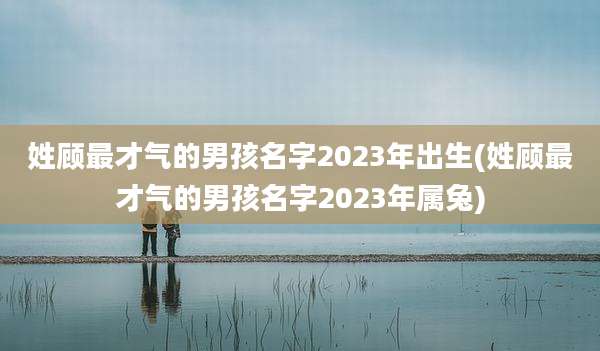 姓顾最才气的男孩名字2023年出生(姓顾最才气的男孩名字2023年属兔)