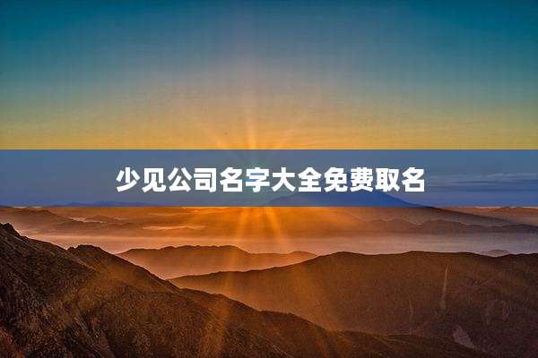 少见公司名字大全免费取名
