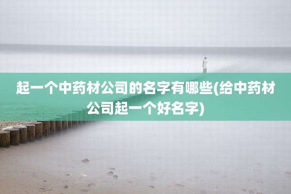 起一个中药材公司的名字有哪些(给中药材公司起一个好名字)