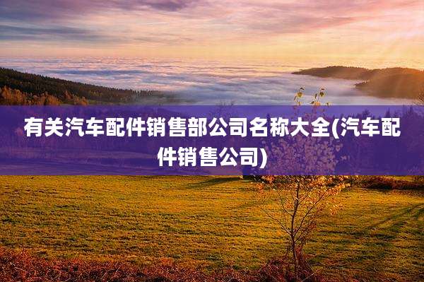 有关汽车配件销售部公司名称大全(汽车配件销售公司)