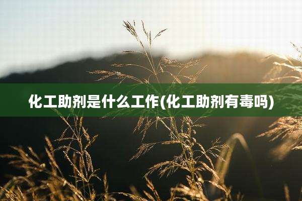 化工助剂是什么工作(化工助剂有毒吗)