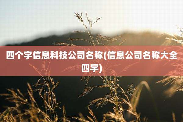 四个字信息科技公司名称(信息公司名称大全四字)