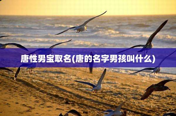 唐性男宝取名(唐的名字男孩叫什么)