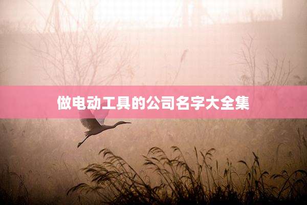 做电动工具的公司名字大全集