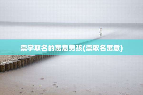 崇字取名的寓意男孩(崇取名寓意)
