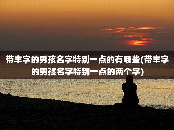 带丰字的男孩名字特别一点的有哪些(带丰字的男孩名字特别一点的两个字)
