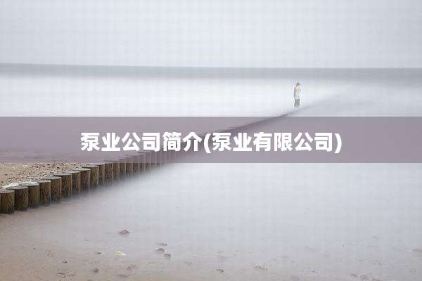 泵业公司简介(泵业有限公司)