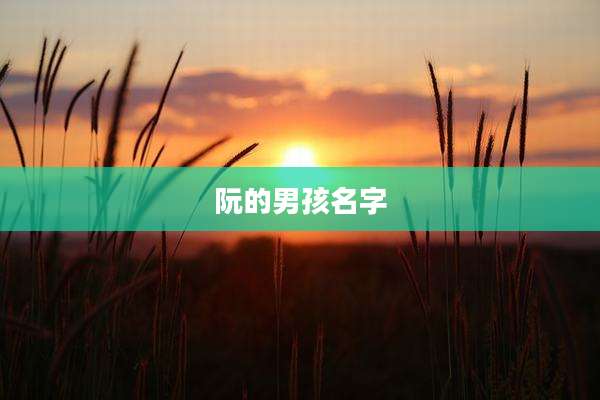 阮的男孩名字