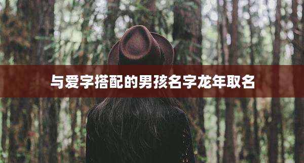 与爱字搭配的男孩名字龙年取名