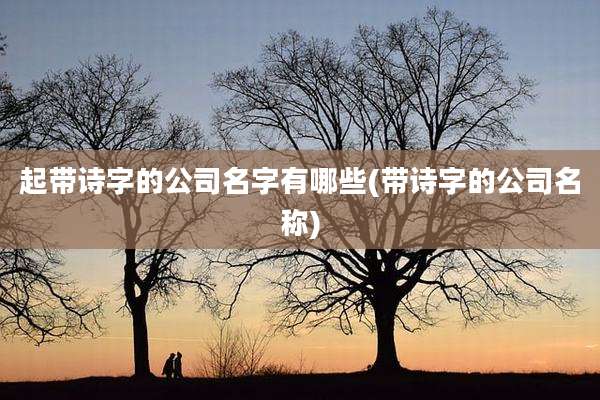 起带诗字的公司名字有哪些(带诗字的公司名称)