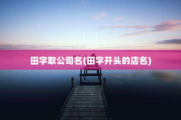 田字取公司名(田字开头的店名)