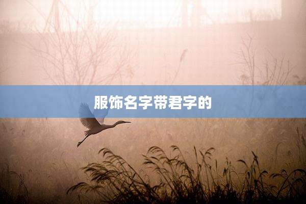 服饰名字带君字的