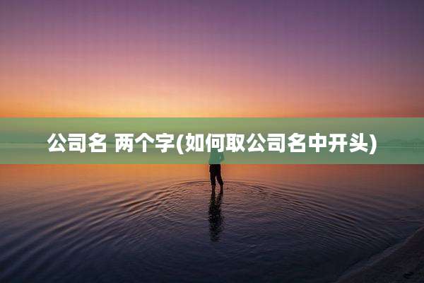 公司名 两个字(如何取公司名中开头)