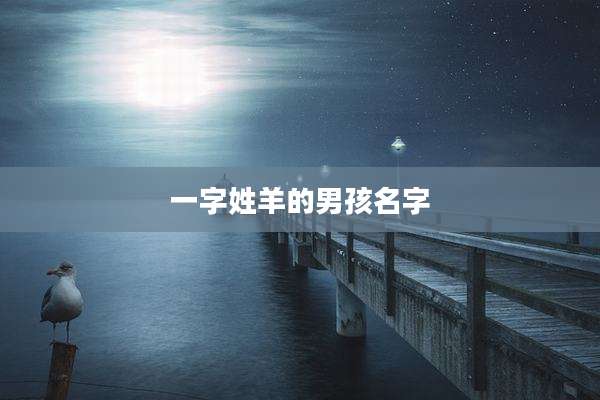 一字姓羊的男孩名字