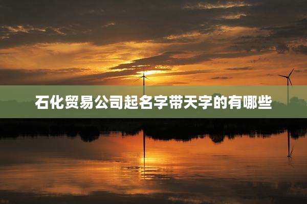 石化贸易公司起名字带天字的有哪些