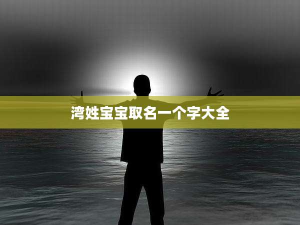 湾姓宝宝取名一个字大全