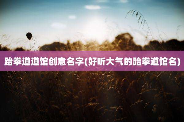 跆拳道道馆创意名字(好听大气的跆拳道馆名)