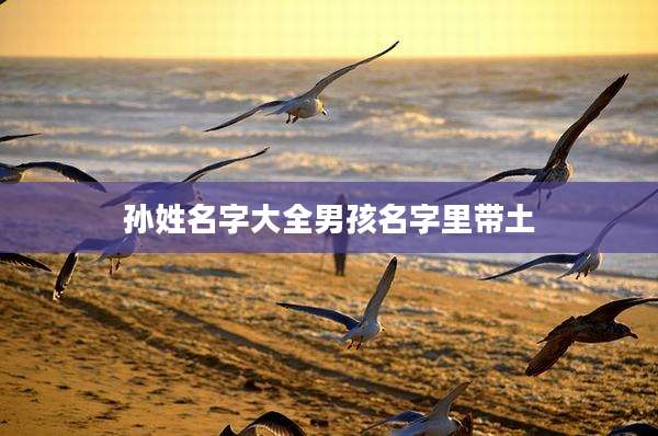孙姓名字大全男孩名字里带土