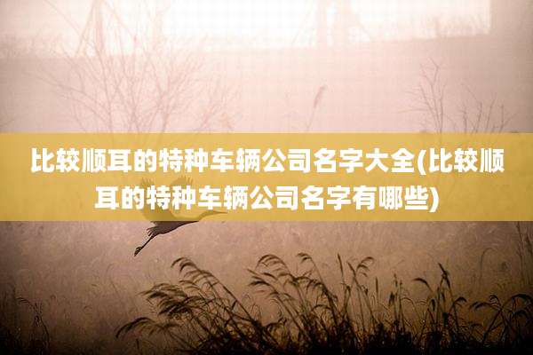 比较顺耳的特种车辆公司名字大全(比较顺耳的特种车辆公司名字有哪些)