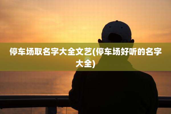 停车场取名字大全文艺(停车场好听的名字大全)