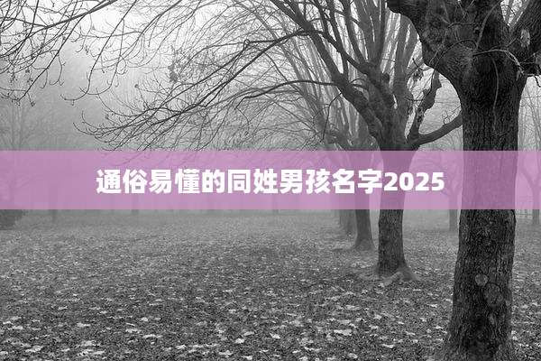 通俗易懂的同姓男孩名字2025
