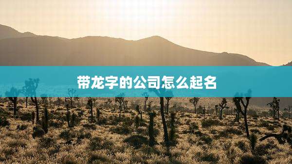 带龙字的公司怎么起名