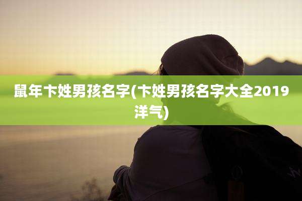 鼠年卞姓男孩名字(卞姓男孩名字大全2019洋气)
