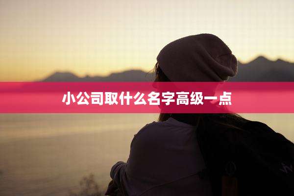 小公司取什么名字高级一点