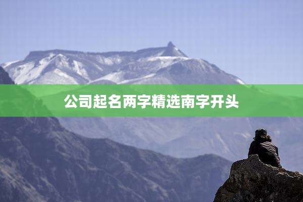 公司起名两字精选南字开头