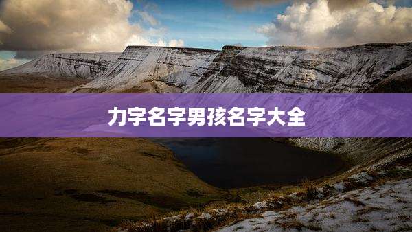 力字名字男孩名字大全