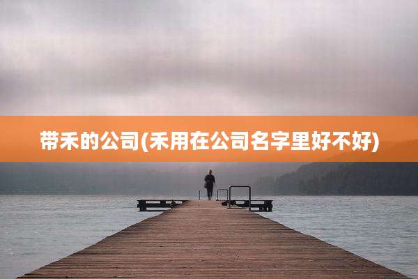 带禾的公司(禾用在公司名字里好不好)