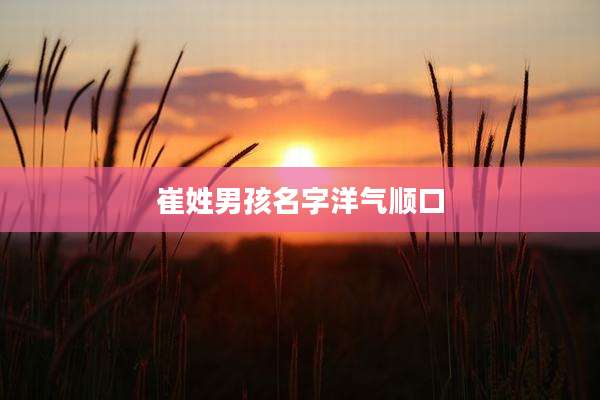 崔姓男孩名字洋气顺口